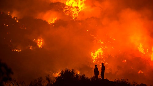 The Border Fire burns near Campo and Potrero Wednesday in San Diego County, California.
Journalists are allowed almost unlimited access to wildfires in California, even if they don’t have any fire training. Palley, however, made sure to get basic wildfire training for his own safety, and because it makes embedding with fire crews a lot easier. “It makes the crews a lot more comfortable.” he says.