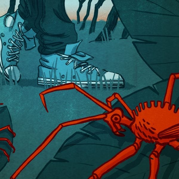 In some parts of the country, the once-invisible wheel bug is stepping out.
