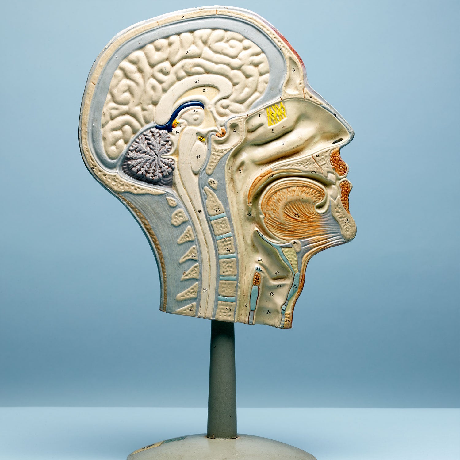 Your mind can be your enemy, or your key to recovery.