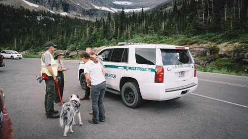 Shortly after our encounter, a park ranger arrived after responding to a call something along the lines of “there is a guy chasing sheep with a dog near Logan Pass.” It was Biel and Gracie. They are a brand new site around the park.