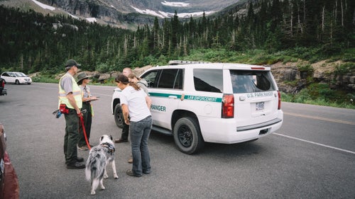 Shortly after our encounter, a park ranger arrived after responding to a call something along the lines of “there is a guy chasing sheep with a dog near Logan Pass.” It was Biel and Gracie. They are a brand new site around the park.