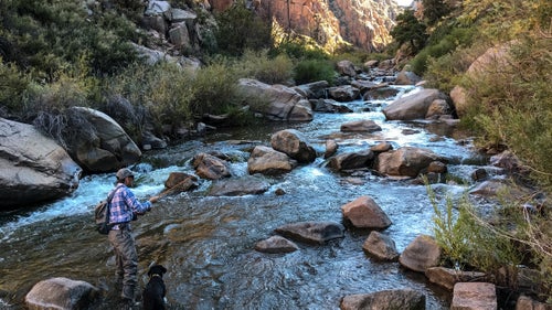 Apple calls the 7 and 7 Plus splash and water resistant. That means the phones will be fine if you drop them in a river. They’ll also be fine if you’re shooting in a rainstorm, or snowstorm, which is an important upgrade for people like me who shoot outside most of the time. You shouldn’t, however, take the phone swimming and keep it submerged for long periods of time because they’re only rated to one meter of water for 30 minutes. Pictured: Ogles and Bertie on the Embudo river in northern New Mexico.