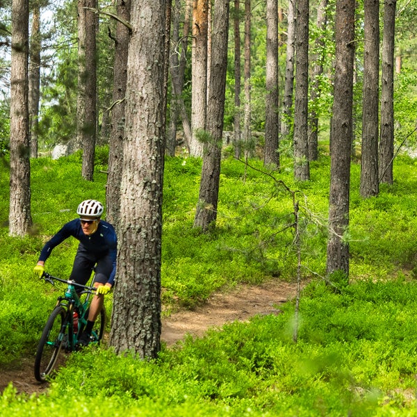 Cruising in a cross-country-specific kit.