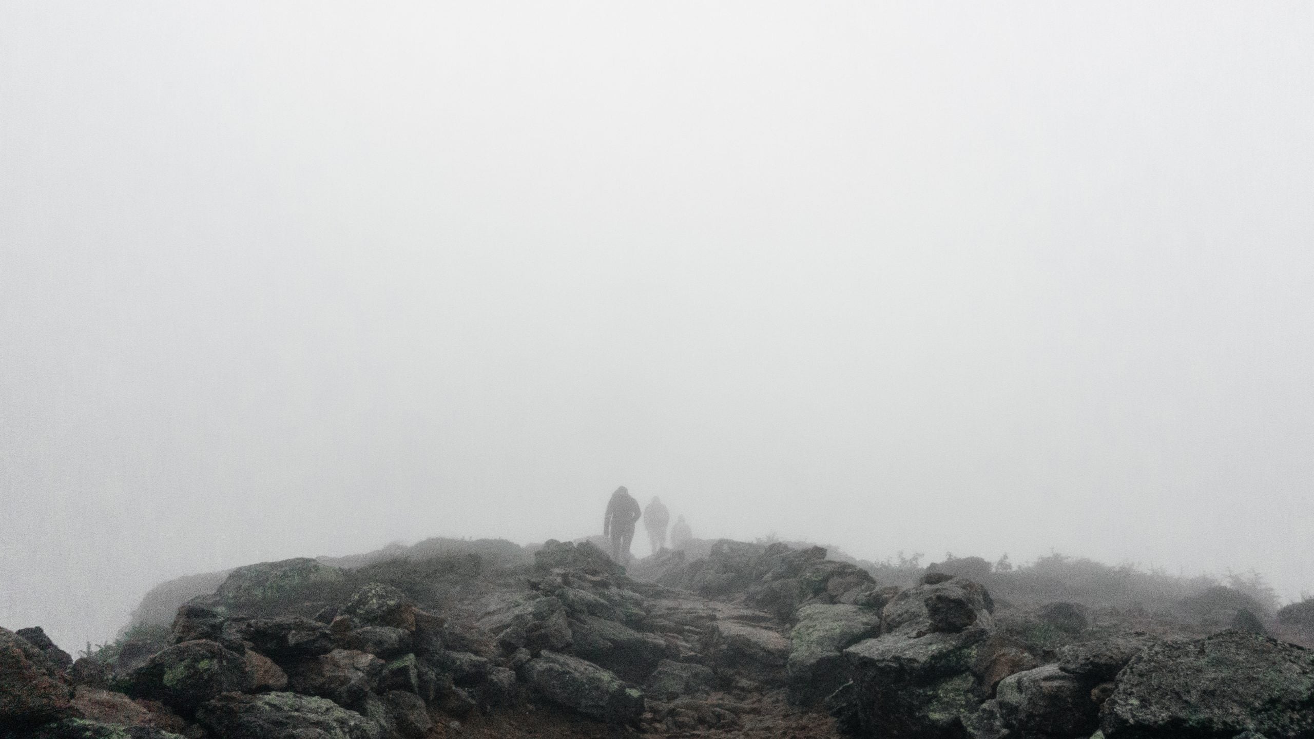 When Amy Bechtel Didnt Come Home