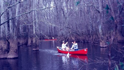This undated photo from Congaree National Park, in South Carolina, shows a couple paddling Cedar Creek. The Cedar Creek Canoe Trail runs 15 miles through primeval old growth forest.
