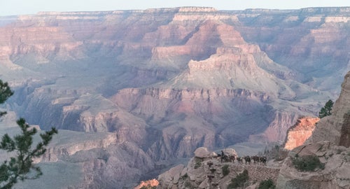 Despite going out a little quicker than he’d planned (Walmsley logged three sub six-minute miles within the first hour of the run), he said he felt really strong most of the time, consistent with a year in which he’s managed to peak on race day. Nevertheless, when he reached the North Rim in a R2R record time of 2:46:08, there was some unanticipated temptation to just call it a day and catch a ride back with his friends.
But Walmsley didn’t yield. He had more in the tank. Good thing, since the final ascent out of the canyon took him to his physical limits. “That second climb out of the canyon is just a monster,” he says. “I ran 1:26 from the river up to the trailhead on South Kaibab, which is one of my slower times, but all in all I was still moving pretty well.”