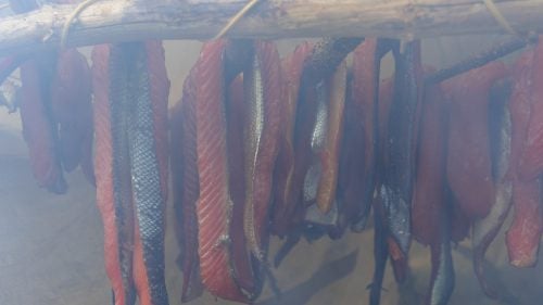 Whenever we enjoyed a bounty, we needed to preserve it for lean days ahead. The slow, contemplative process of smoking salmon on the beach was a regular part of our experience.