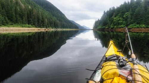 This summer, photographer Fredrik Norrsell and his wife Nancy Pfeiffer set out to explore a simple question: Could they live solely off the land for three months? The pair covered 566 nautical miles in Southeast Alaska in sea kayaks, surviving off whatever they captured or found. Between fresh crab and salmon, and foraged mushrooms and other vegetation, the couple lived like kings. Here, Norrsell explains how they did it. Photo: In early June, we paddled away from a friend’s house in Haines, Alaska. In addition to years of experience in the outdoors, we brought plenty of fishing gear, a shrimp pot, some reference books on wild edibles, and a spice kit.