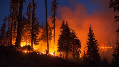 Hotshot crews at twilight on the Happy Camp Fire Complex in the Klamath National Forest, Northern California. In a burn operation, firefighters start a fire to increase the width of a fire line, creating a buffer between the flames and unburnt ground. This particular burn created a vacuum, sending flames to the main fire (a few hundred yards to the right of frame), which created a fire line of a few hundred yards. Days after this burn, large wind gusts pushed embers over that line and into the forest behind the camera, igniting a new area.
