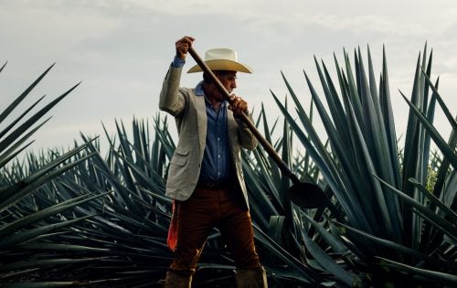 For as long as anyone can remember, Manuel worked as a jimador, harvesting agave grown around Guadalajara—where the plant is said to be larger and better tasting than anywhere else in the world—for tequila. Manuel now works in the gardens at the Patrón Hacienda.
Pick Stitch jacket by John Varvatos ($298); Connor shirt by Rails ($148); Khakis by Dockers ($58)