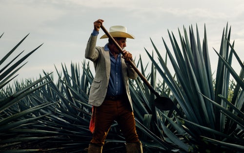 For as long as anyone can remember, Manuel worked as a jimador, harvesting agave grown around Guadalajara—where the plant is said to be larger and better tasting than anywhere else in the world—for tequila. Manuel now works in the gardens at the Patrón Hacienda.
Pick Stitch jacket by John Varvatos ($298); Connor shirt by Rails ($148); Khakis by Dockers ($58)