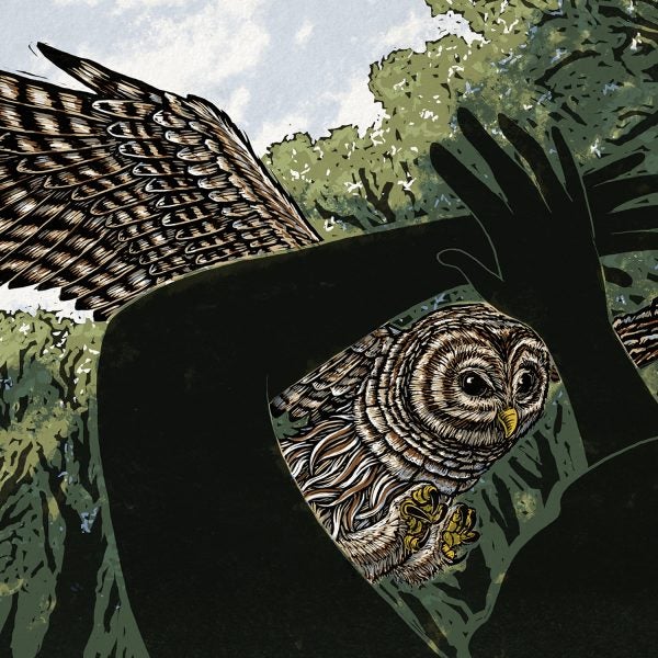 Here there be owls.