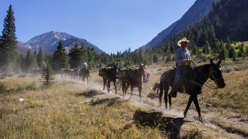 Six hundred miles away, deep in the wilds of northeast Oregon, where there are no free-roaming horses, the mustang’s rehabilitation is in action. Here, John Hollenbeak, trail crew boss of the Eagle Cap Ranger District, leads a pack string below Sacajawea Peak, Oregon’s sixth-highest mountain. Hollenbeak, a longtime cowboy, logger, horse wrangler, and trail crew manager, is responsible for managing the Eagle Cap and Hells Canyon Wilderness trail crew and pack herd.