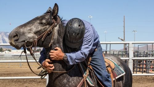 What struck me most during my time documenting the training program was the patience, gentleness, compassion, and intuition the prisoners demonstrated toward the wild animals in their charge. You don’t “break” a wild mustang; you befriend it.