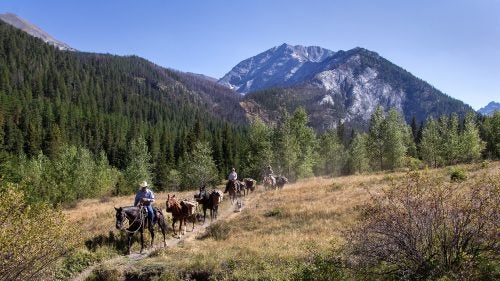 Oregon’s Hells Canyon and Eagle Cap Wilderness areas are some of the most rugged, wild land in the Lower 48. Home to the continent’s deepest gorge, the nearly 600,000-acres of federally designated wilderness is managed under the Wilderness Act of 1964, which means no cars, trucks, or motorized tools. To comply with that mandate, the Forest Service’s Eagle Cap Ranger District has always used horses and mules to pack in the heavy equipment necessary to build and maintain trails within the wilderness. But the herd is aging rapidly, and the budget for replacing the animals is small.
Enter the wild mustangs. For more than a decade, the Bureau of Land Management (BLM) has worked with inmates in the Nevada Department of Corrections to train these horses for adoption. This spring, managers of Hells Canyon and Eagle Cap Wilderness areas approached the BLM about using the mustangs on their trail crew. (The Wild Horse and Burro Act allows for exchange of horses between federal agencies.) Last spring, 11 mustangs joined the Eagle Cap Ranger District herd.
This summer, I visited the Northern Nevada Correctional Center, and then followed some of its horses into the Oregon backcountry.