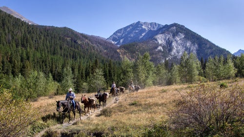 Oregon’s Hells Canyon and Eagle Cap Wilderness areas are some of the most rugged, wild land in the Lower 48. Home to the continent’s deepest gorge, the nearly 600,000-acres of federally designated wilderness is managed under the Wilderness Act of 1964, which means no cars, trucks, or motorized tools. To comply with that mandate, the Forest Service’s Eagle Cap Ranger District has always used horses and mules to pack in the heavy equipment necessary to build and maintain trails within the wilderness. But the herd is aging rapidly, and the budget for replacing the animals is small.
Enter the wild mustangs. For more than a decade, the Bureau of Land Management (BLM) has worked with inmates in the Nevada Department of Corrections to train these horses for adoption. This spring, managers of Hells Canyon and Eagle Cap Wilderness areas approached the BLM about using the mustangs on their trail crew. (The Wild Horse and Burro Act allows for exchange of horses between federal agencies.) Last spring, 11 mustangs joined the Eagle Cap Ranger District herd.
This summer, I visited the Northern Nevada Correctional Center, and then followed some of its horses into the Oregon backcountry.