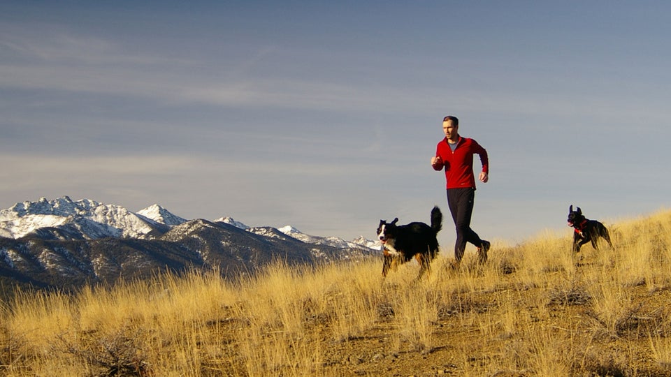 The Definitive Guide to Endurance Training—for Your Dog Outside Online