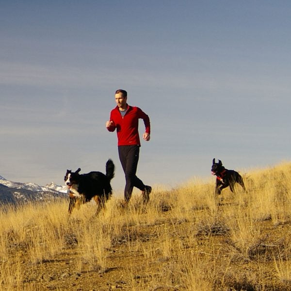 Want to endurance train with your dog? Look no further.
