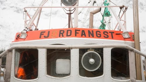 If you want to break up your touring vacation, you can book a whale-watching trip. There’s even a chance to try some tours that are accessible only from the ocean, so you can step directly from a boat onto a snowy shore, skins on.
