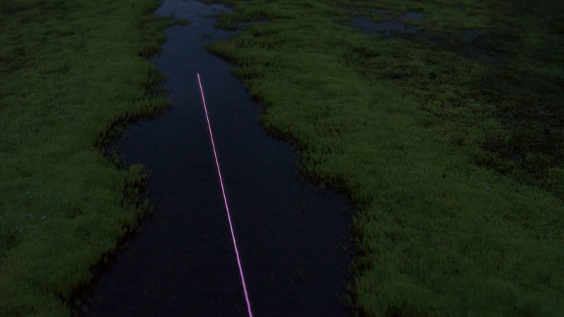 3hund has experience creating these mind-bending, luminescent scenes in nature. In the 2014, they used similar projector techniques to make the short Bioluminescent Forest.
We hope they make it into a trilogy.