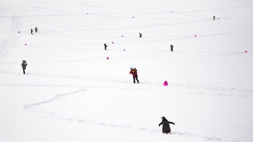 Some of Hermsmeyer’s shots might seem like idyllic winter landscapes and their aesthetic appeal can overshadow the grueling aspects of the race. “None of these races are kind. I mean, the terrain is just not fun,” says professional ultra-runner Jax Mariash Koudele. “Just know that while you’re staring at that really cool penguin, you’re suffering.”