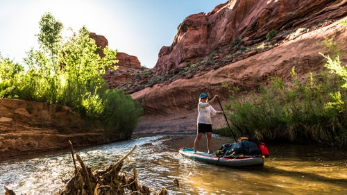 Early in the trip, we paddled past clumps of dead roots and branches that had washed downstream. A portion of this debris was leftover from the mitigation work being done to remove the nonnative Russian olive and tamarisk trees. The Escalante River Watershed Partnership—an alliance of more than 30 private and public agencies, groups, and individuals that range from the Grand Canyon Wildlands Council to the Nature Conservancy—has targeted more than 6,000 acres for restoration along the Escalante and its tributaries to ensure a healthy riparian ecosystem.