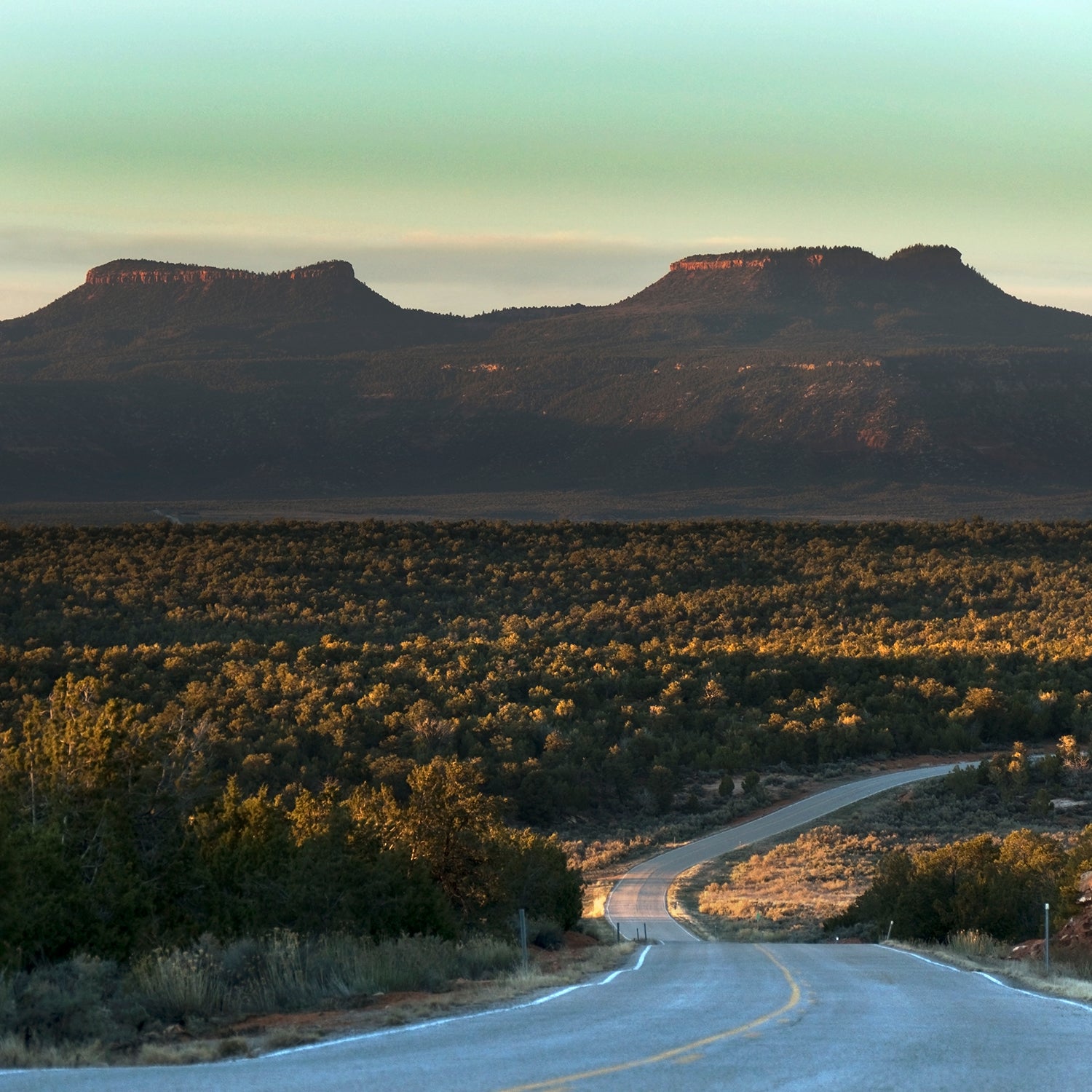 The newest national monument has ardent supporters and detractors.
