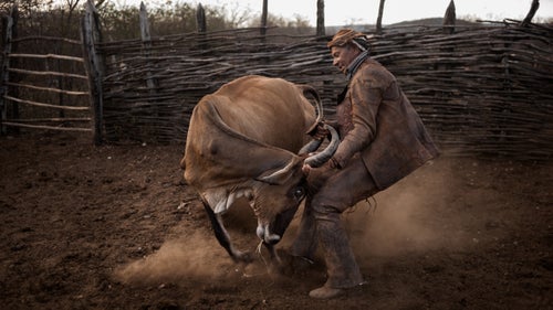 Pedro Arthur, a cattle breeder, hard at work in the countryside of Brazil.