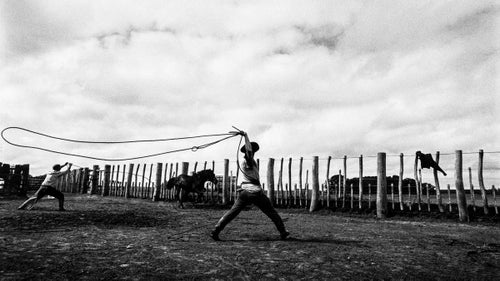Gauchos at Estancia La Invernada in Uruguay roping colts for gelding.