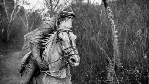A Brazilian vaqueiro rides through the forest after news of missing cattle. As a group, the vaqueiros are known for their speed and intensity.