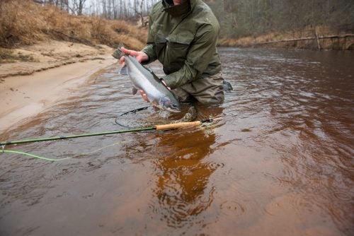 Said to be the hardest-fighting steelhead because of cold water temps and muscular builds, the Lake Superior fish’s pull never disappoints.