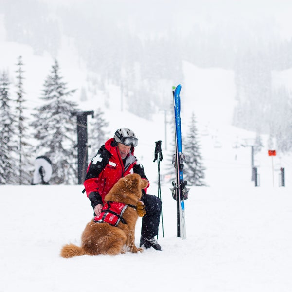 STEVEN'S PASS, WASHINGTON, USA. Court Wing, a legendary ski patroller at Steven's Pass, WA with his dog on a snowy day.