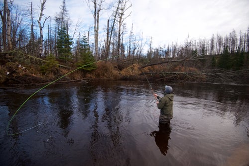 Swinging—a long slow drift of the fly moving with the current—for Great Lakes steelhead often requires two-handed rods, tight loops, and accurate casts. Angler and friend Gerrit Rauch was up to the challenge on the famed Two Hearted River.