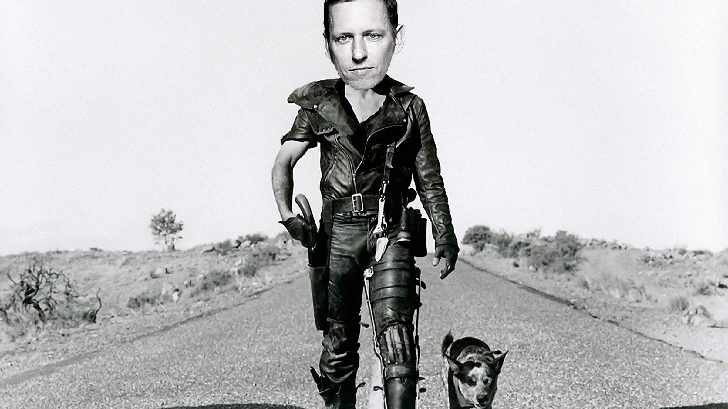 It's not quite a fuel-starved Australian outback, but Peter Thiel's plan to flee to a farm in rural New Zealand should modern society crumble nevertheless evokes images of Mel Gibson in "Mad Max."