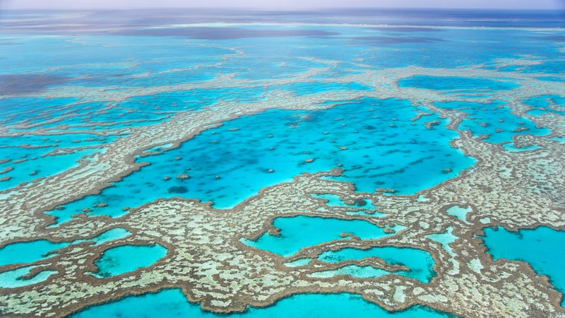 The Great Barrier Reef in Australia.