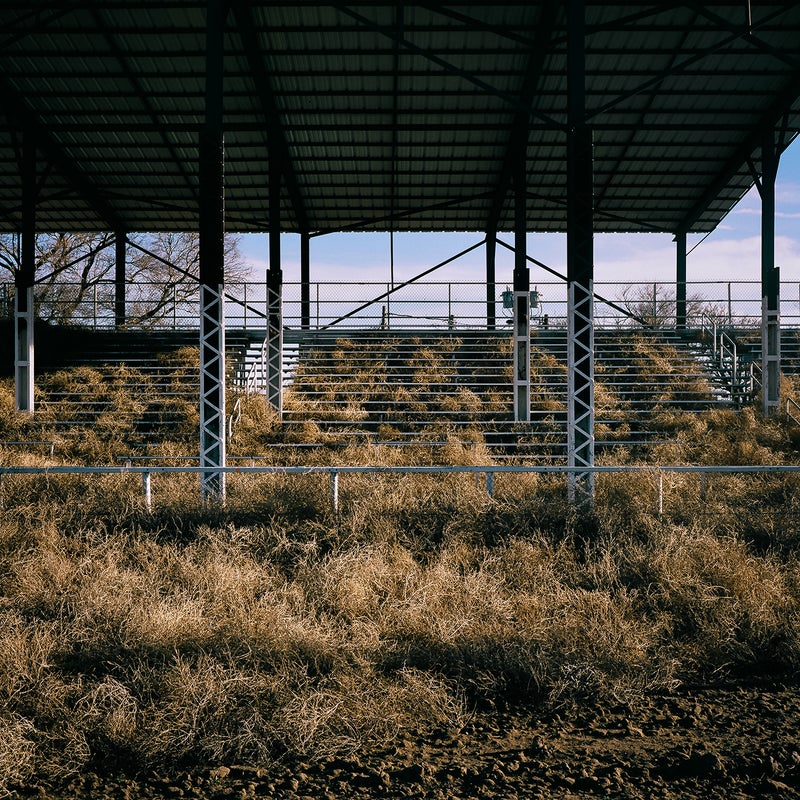 When I arrived in Springfield, Colorado, the folks at City Hall graciously sent me to the local stadium and asked the groundskeeper to open it up for me in order to take this picture. I like it because it feels like a physical expression of the idea of tumbleweeds in the stands.
