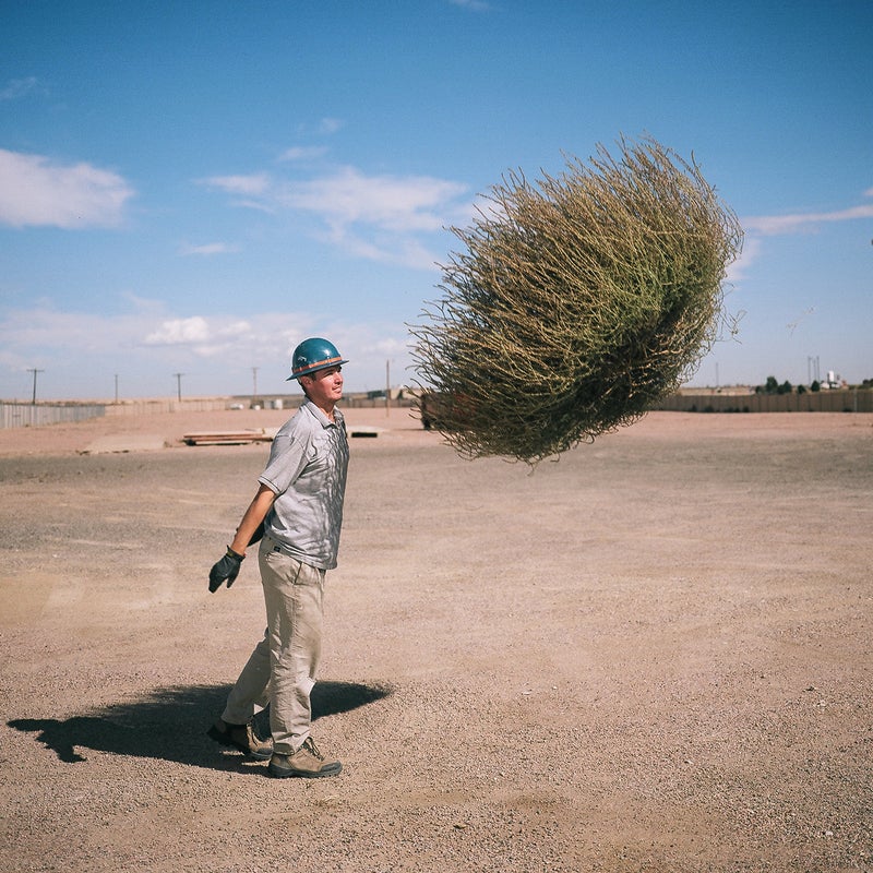 Pueblo, Colorado is big, flat, and open—making it the perfect place to have tumbleweed problems. One afternoon after photographing a Hillary Clinton rally, I drove by some guys working. This is Patrick Pulis. He and his father were cleaning up an abandoned building and lot; it had once been the electric company, now it was being converted into a marijuana grow operation.