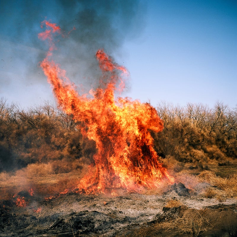 From what I’ve seen, burning tumbleweeds may be the best way to get rid of them. Though it’s less effective if they've piled up next to your house.
