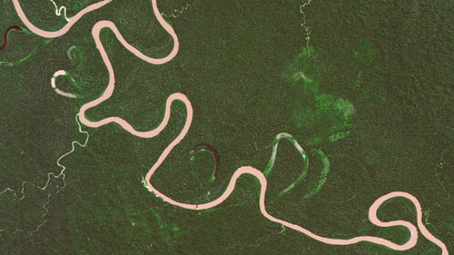 The Rio Madre de Dios swirls in the rainforests of Peru. Oxbow lakes—the U‐shaped branches coming off the main river—form when a wide meander from the main stem of a river is cut off, creating a free‐standing body of water.