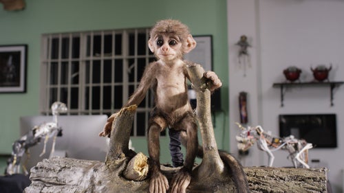 The team never underestimates animals’ ability to distinguish real wildlife from spy wildlife, so design is meticulous. On spies with fur, like the langur pictured, a synthetic coat is punched hair-by-hair into the silicone frame. Out in the field, the team will go so far as to apply Vaseline to the creature’s eyes and nose to give them a realistic luster.