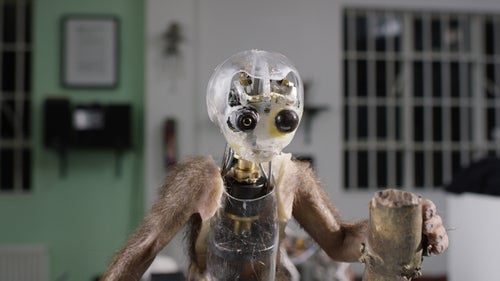 Producer Matthew Gordon, a trained primatologist, worked with Spy Langur in the field. More than filmmakers, the producers are “animal people,” says producer Rob Pilley—biologists, ecologists, and zoologists.