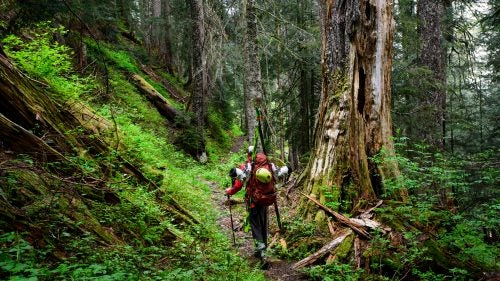 In this photo, Tim Black hikes below Anderson Pass during our quest to complete the first north-to-south ski traverse of the Olympic Mountains, from Hurricane Ridge to Lake Cushman.
