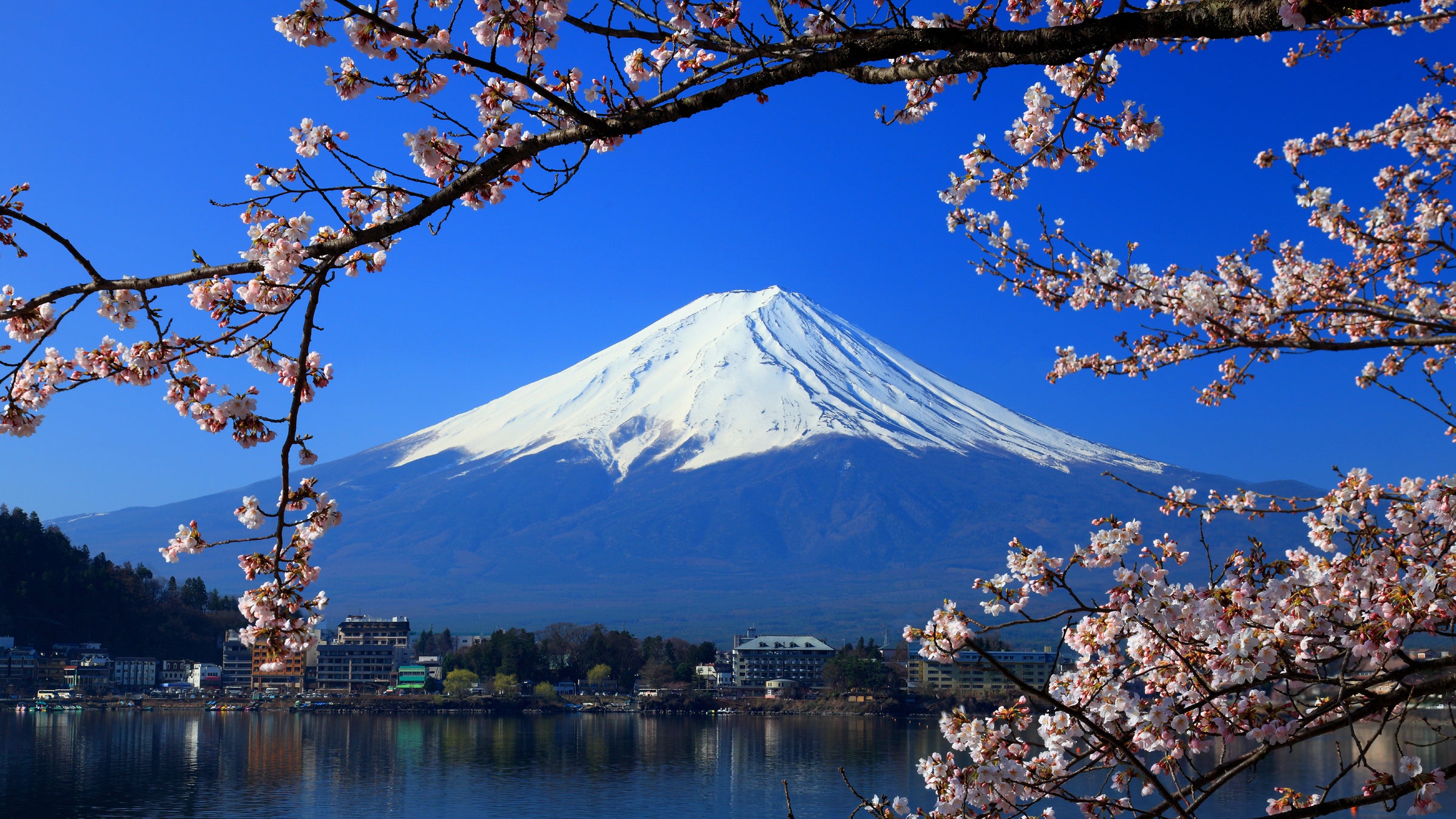 There's an old Japanese saying: If you never climb Mount Fuji once, you are a fool. If you climb it more than once, you are twice the fool.