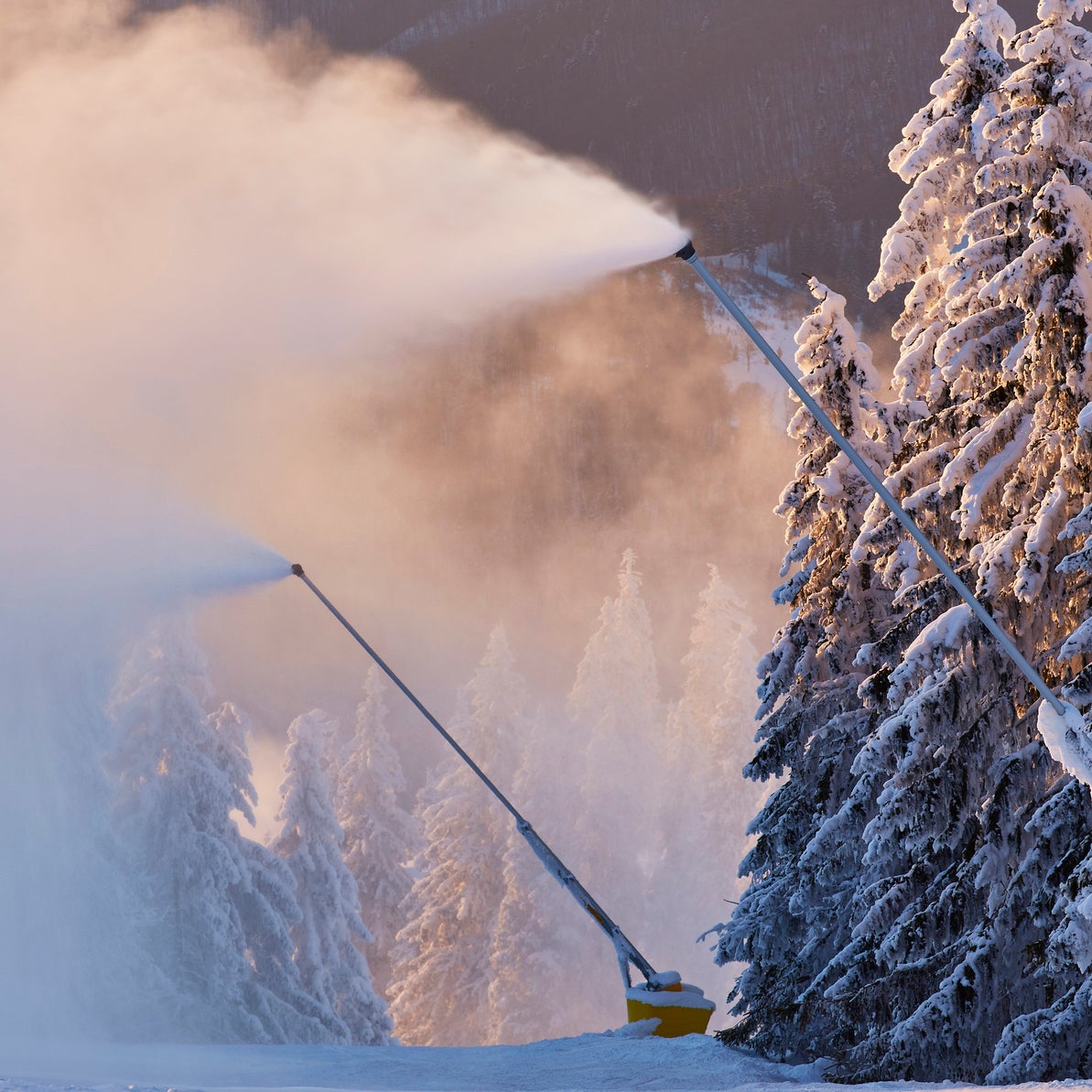 Even the snowiest places in the world are having to consider snow machines, due to climate change.