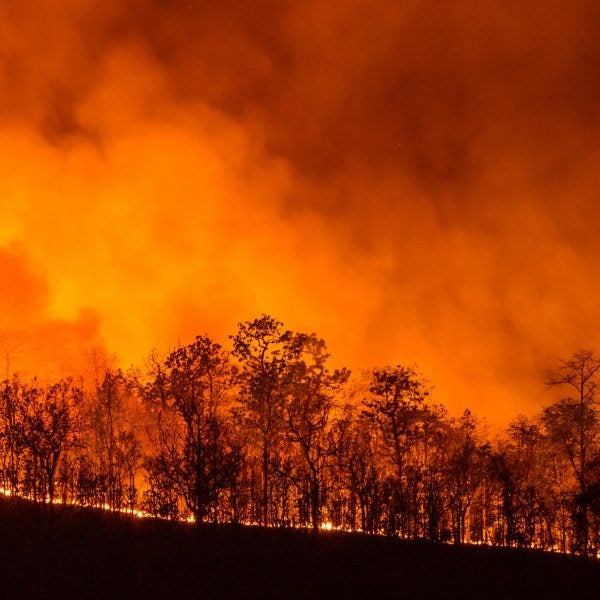 Forest Fire at night time in Chiangmai, Thailand
