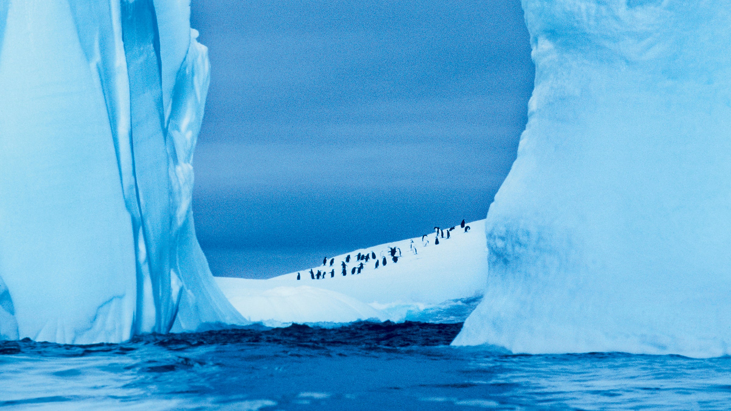 You really can do it all.