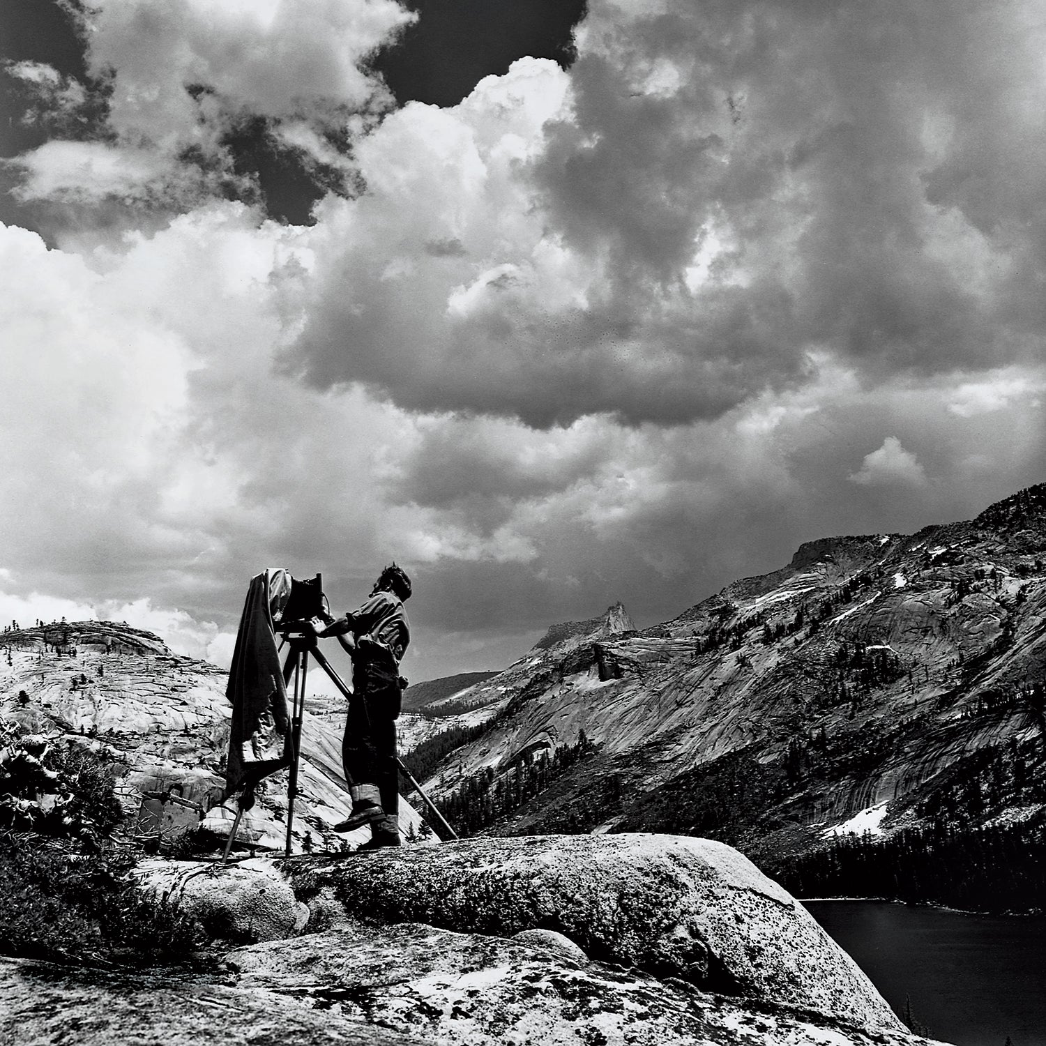 Edward Weston in Yosemite National Park, 1937.