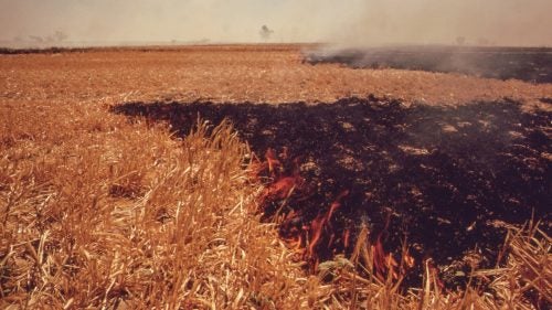 This entire field of straw in the Imperial Valley, west of El Centro, California, burned in less than half an hour. Smoke was visible for 20 miles.