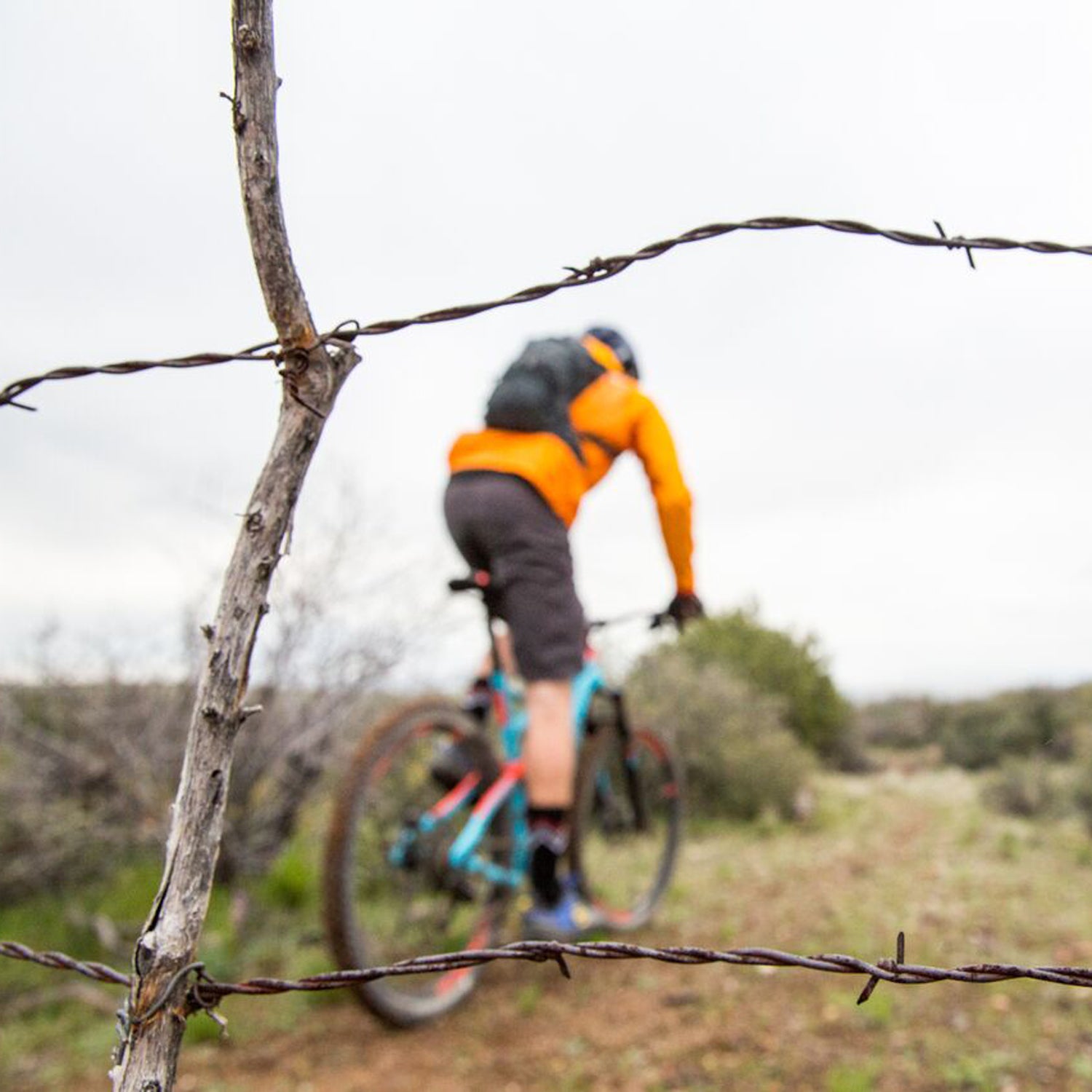 A mountain biker rides past barbed wire on the historic Black Canyon Trail in Arizona.