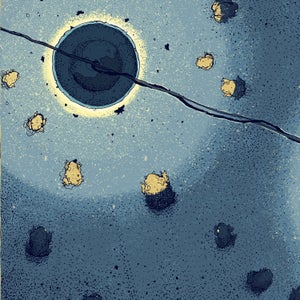 The cane toad—equipped with poisonous glands, bravery, and impressive adaptation techniques—plagues the state of Florida.